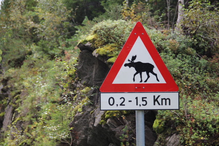 Norvégia látnivalói 1 hét alatt – fjordok, trollok, rénszarvasok