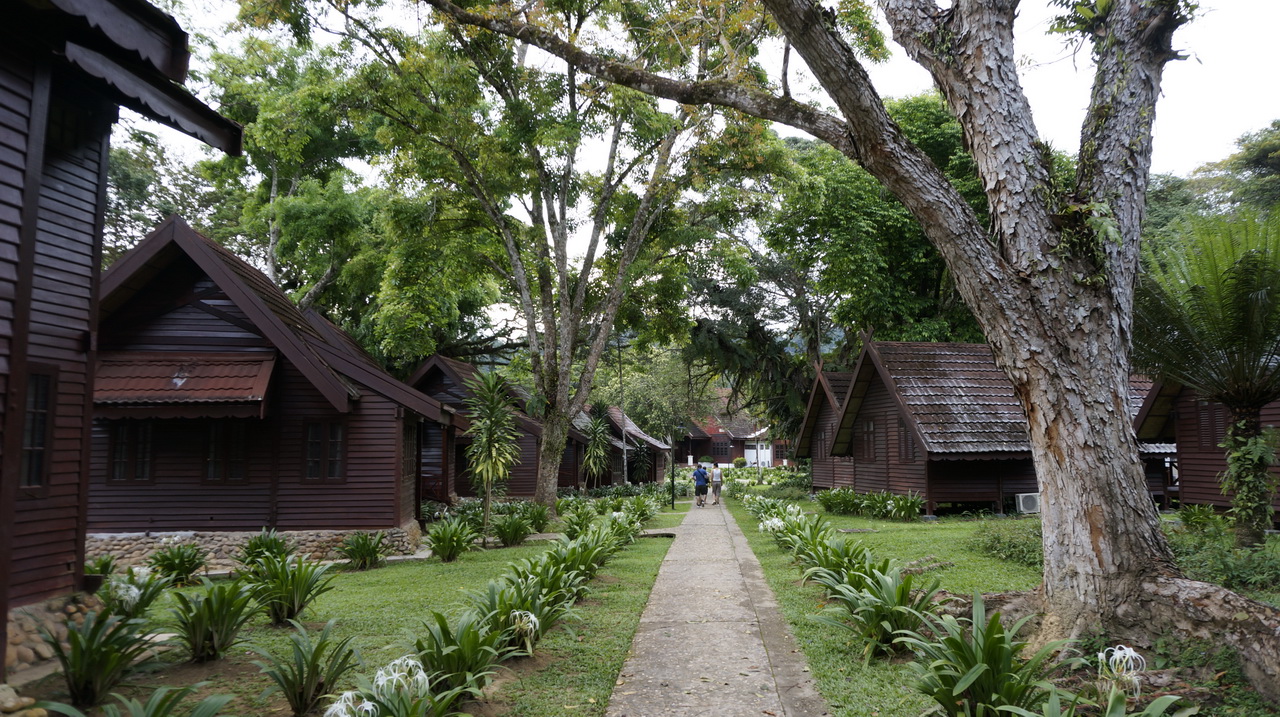 Taman Negara