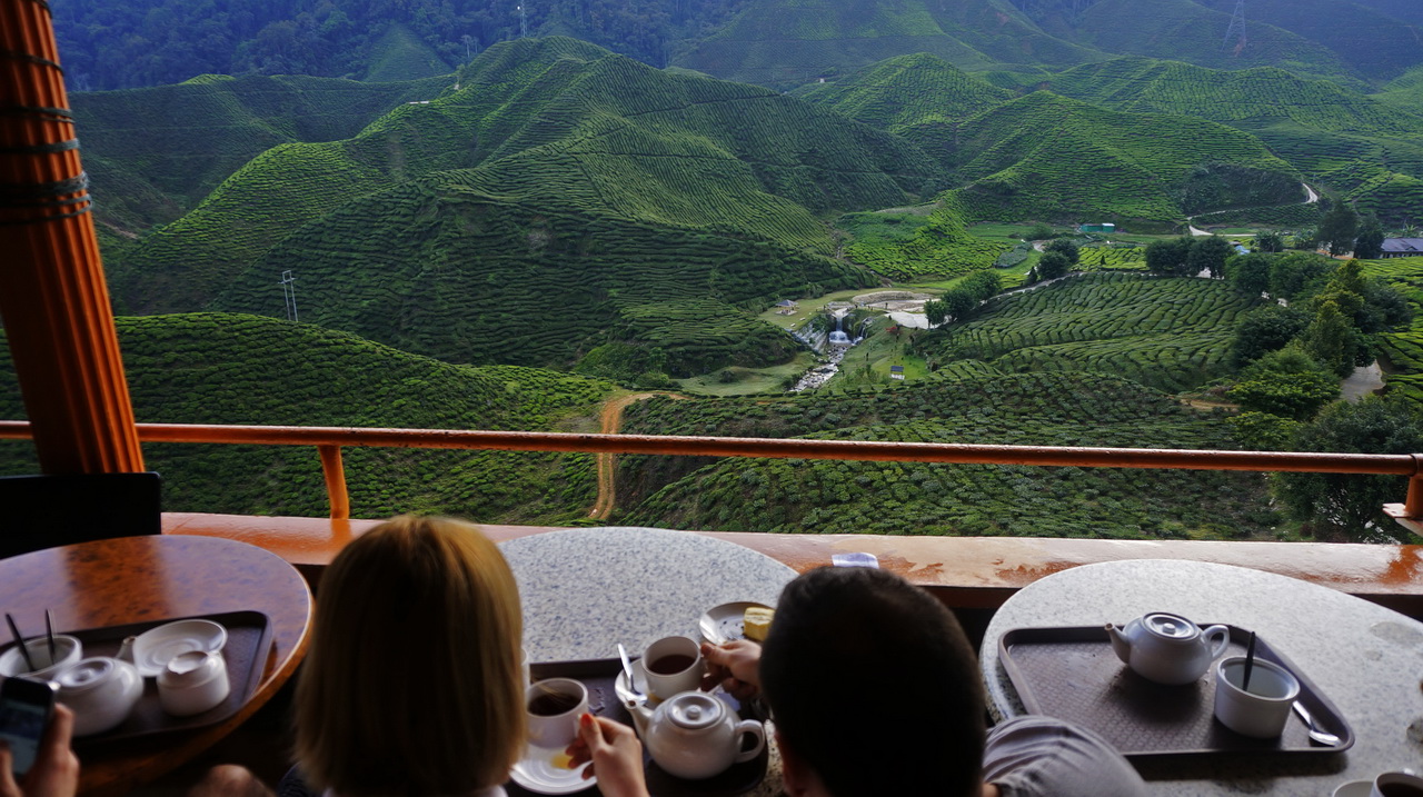 Cameron Highlands tea