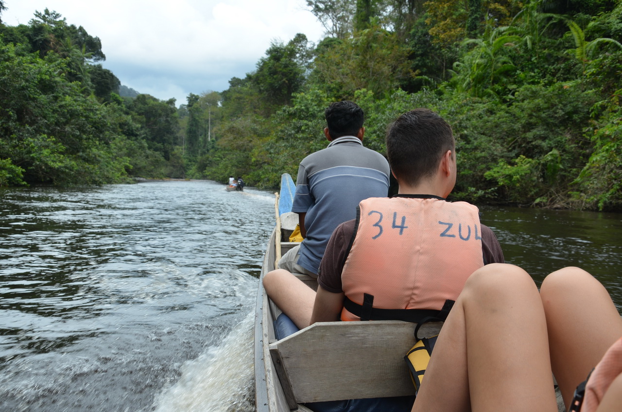 Taman Negara