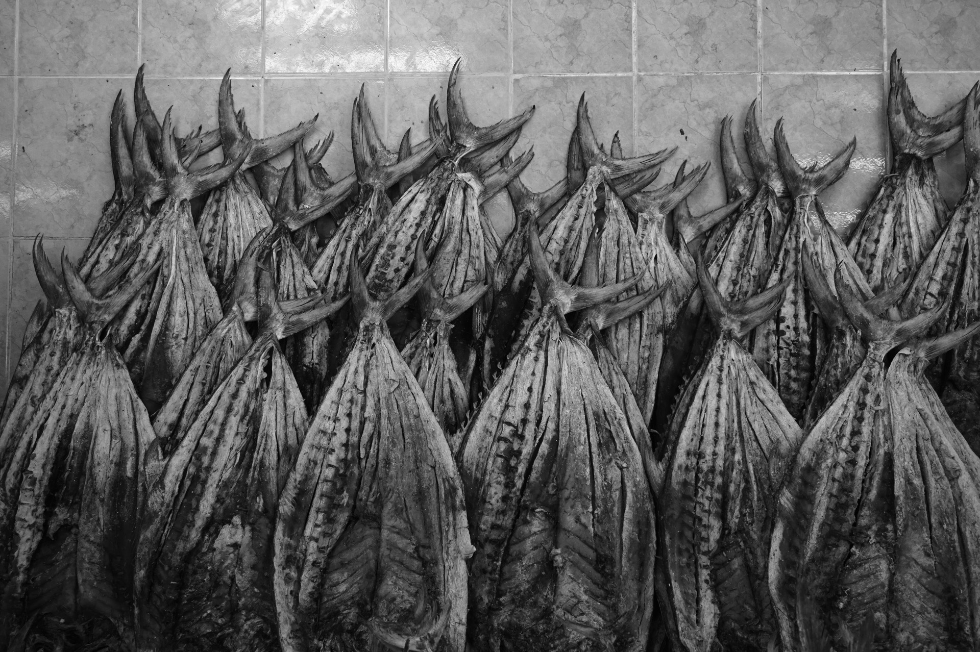Dubai halpiac