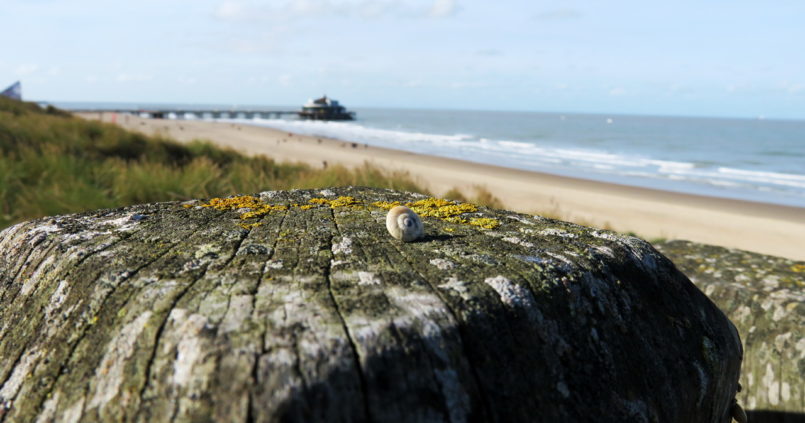 Blankenberge, Belgium Pier