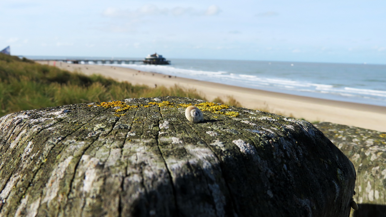 Blankenberge, Belgium Pier