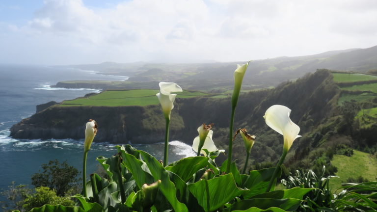 Azori-szigetek 2. nap