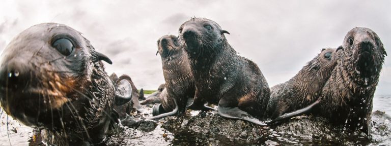 A Parancsnok-szigetek – Kirill Umrikhin fotóriportja