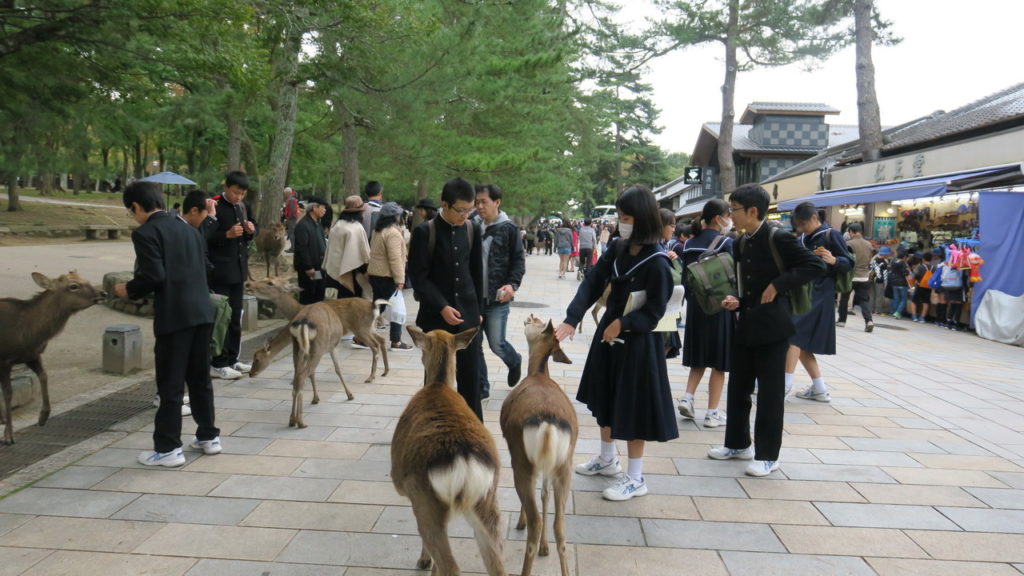 Nara
