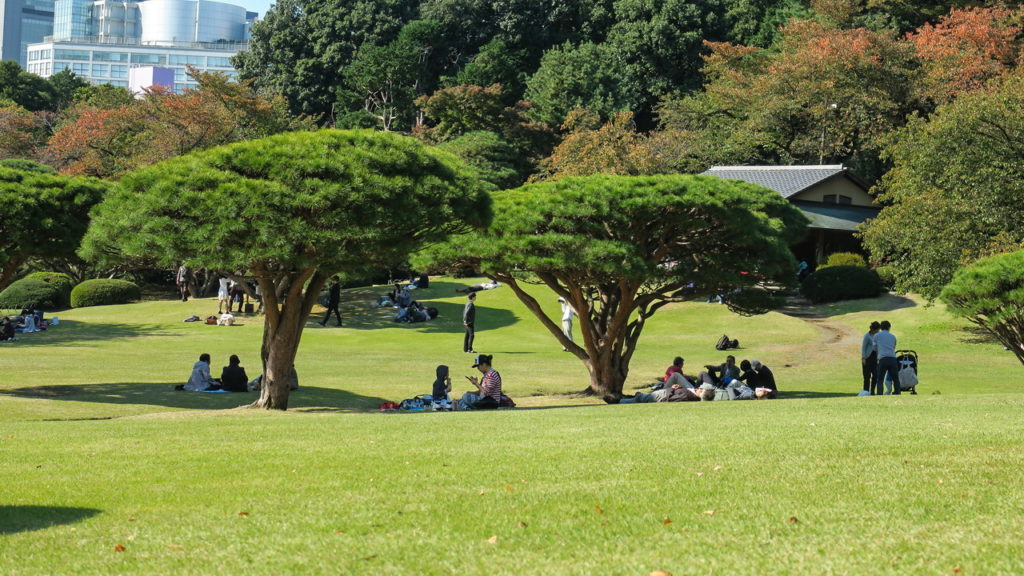 Shinjuku Gyoen