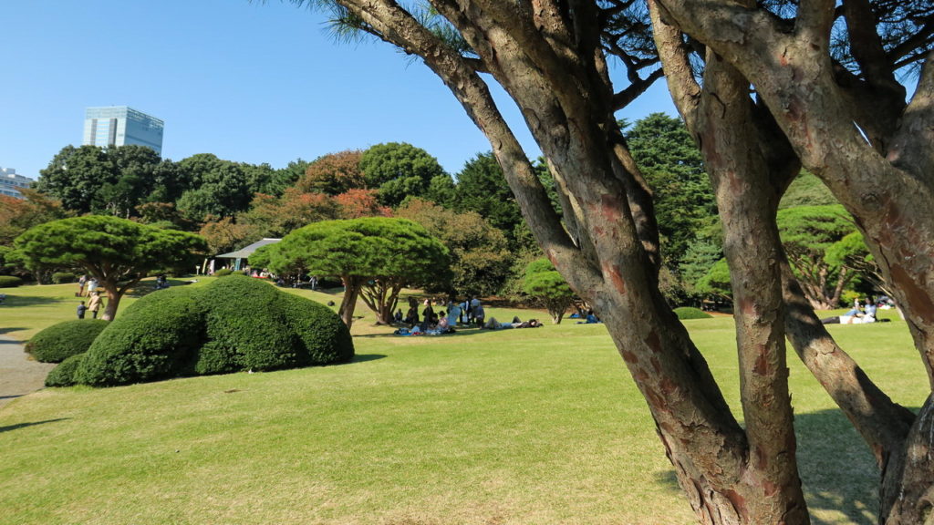 Shinjuku Gyoen