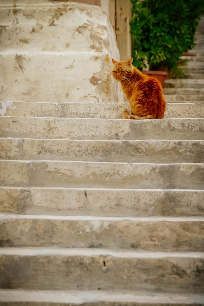 Valletta