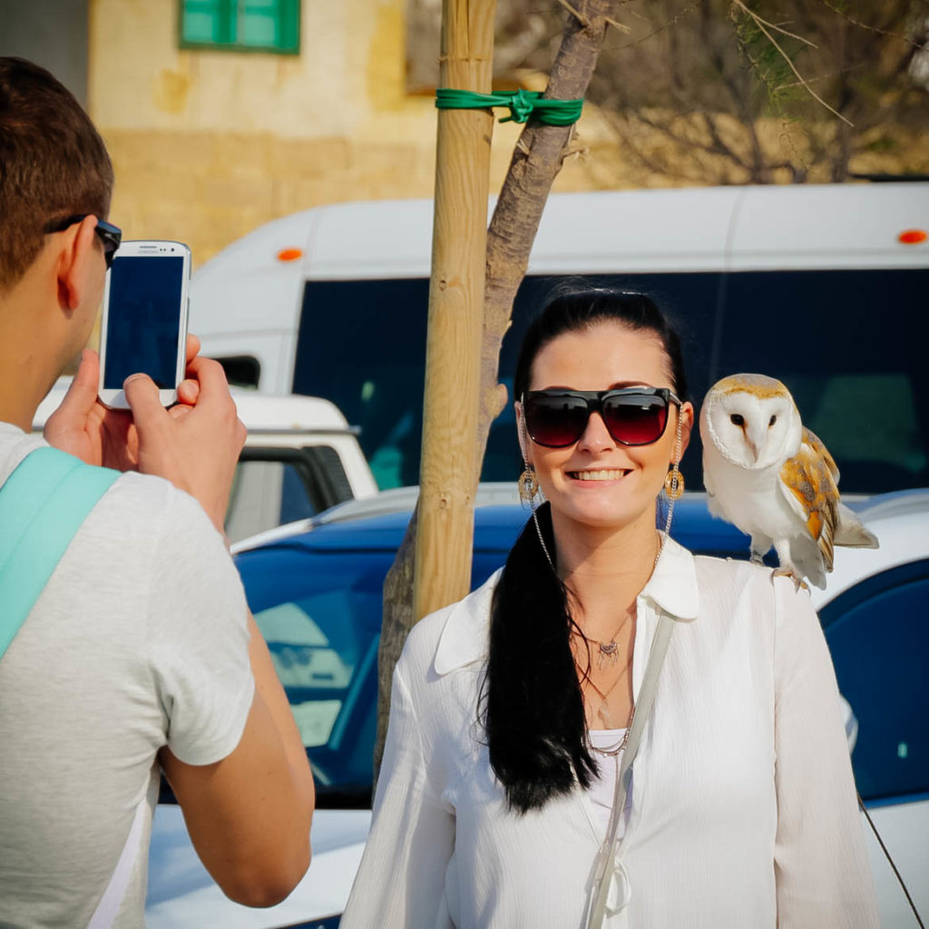 Gozo