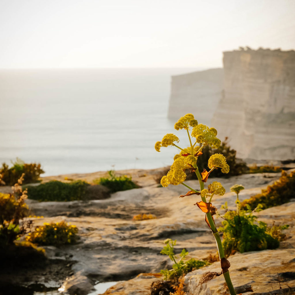 Ta'Cenc-szikla Gozo Málta