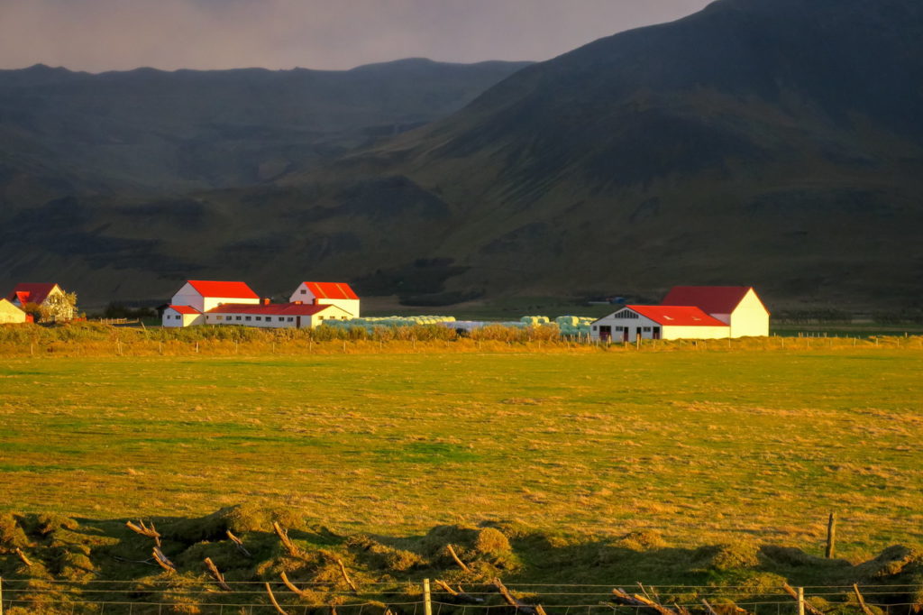 Izland Holt szállás