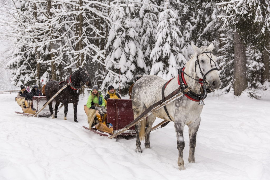 zakopane