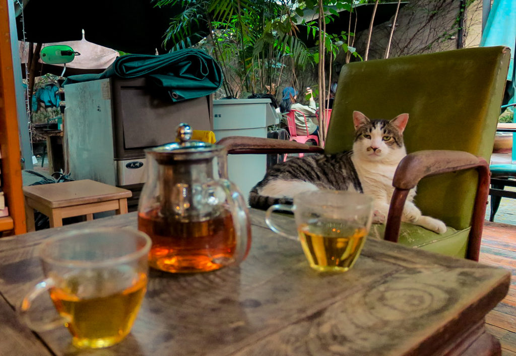 1984 könyvesbolt kávézó café Sanghaj