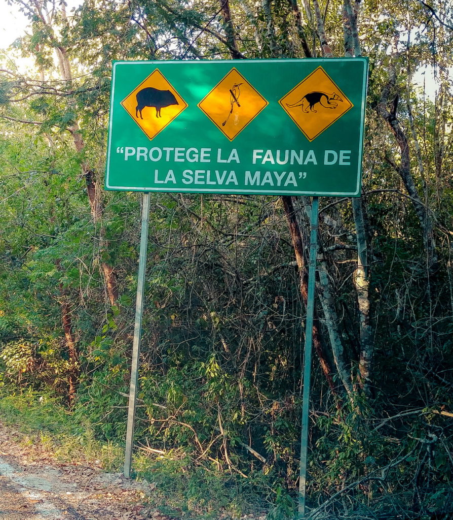 Calakmul Mexikó yucatan
