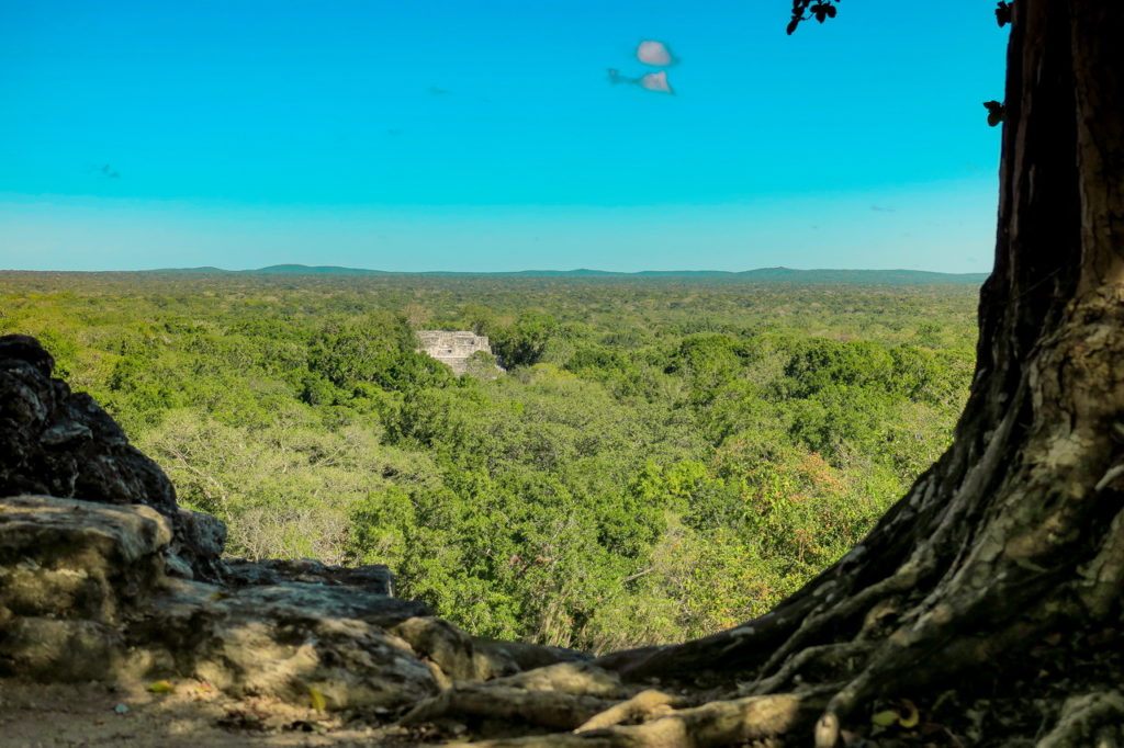 Calakmul Mexikó yucatan