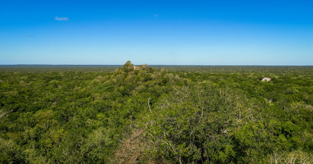 Calakmul Mexikó yucatan