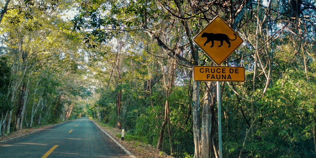 Calakmul Mexikó yucatan