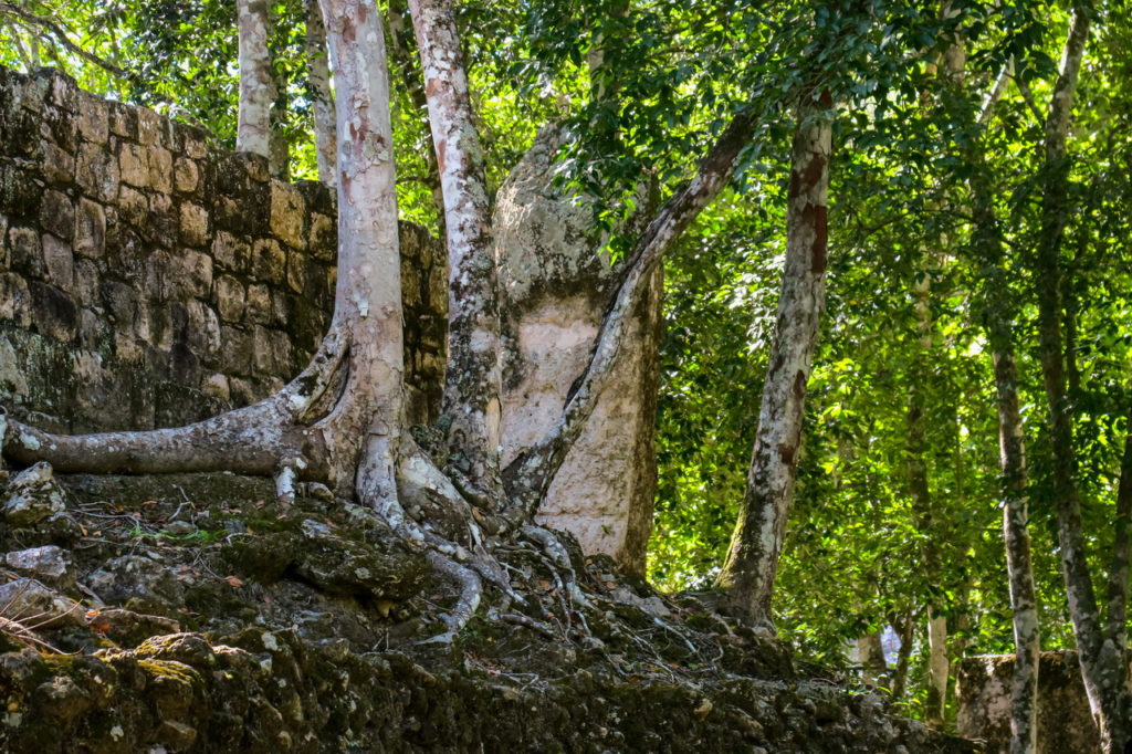 Calakmul Mexikó yucatan
