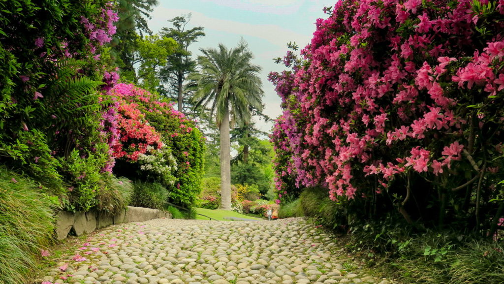 Villa Carlotta