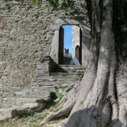 Bellinzona