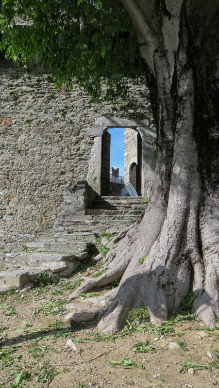 Bellinzona