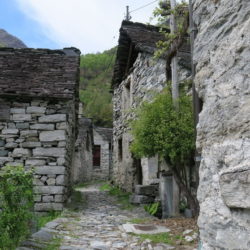 Corippo