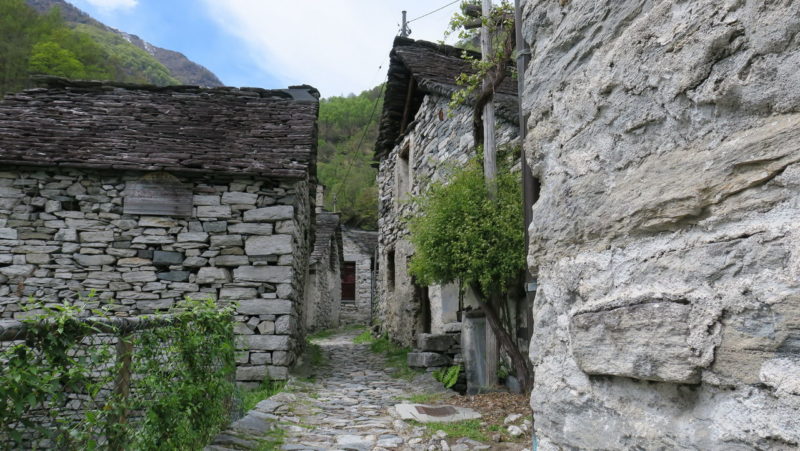 Corippo