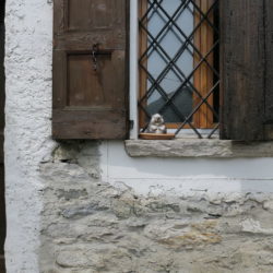 Corippo