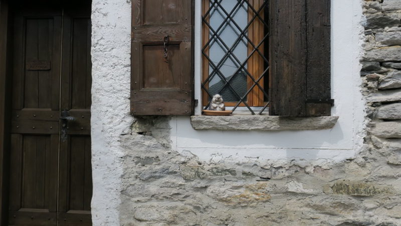 Corippo