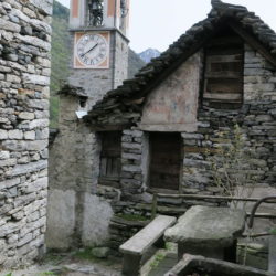 Corippo