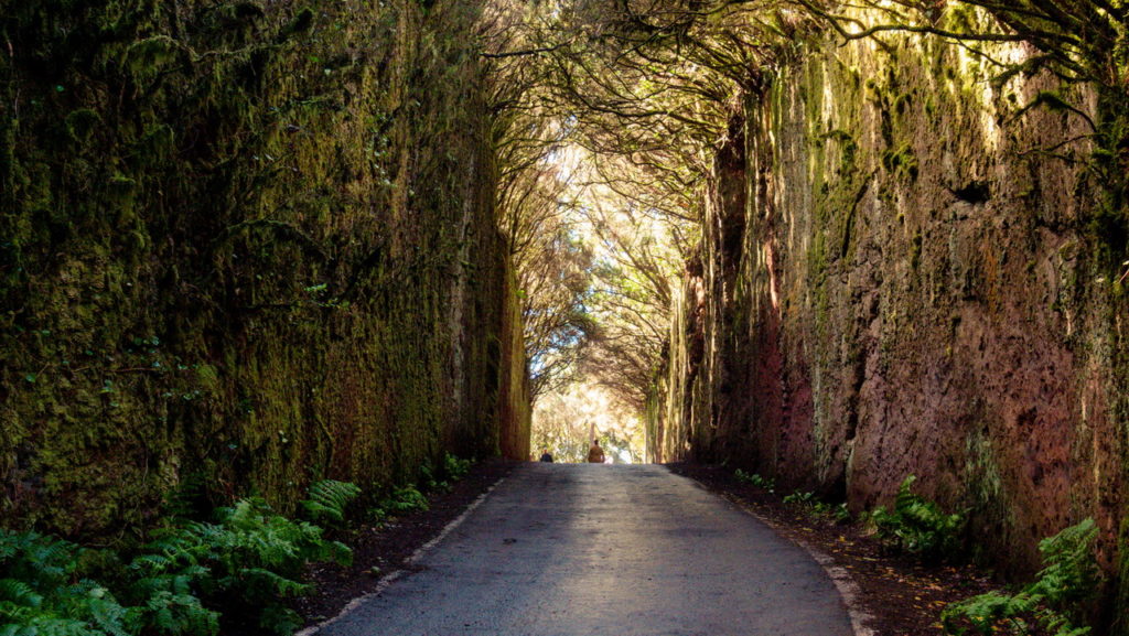 Camino viejo al Pico del Inglés