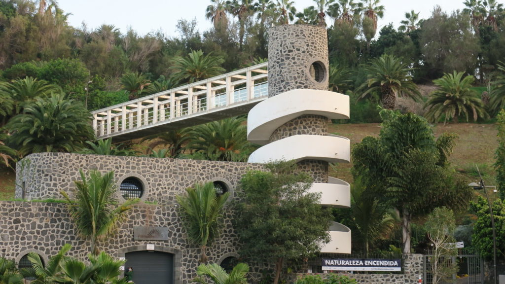 Palmentum pálma Santa Cruz de Tenerife