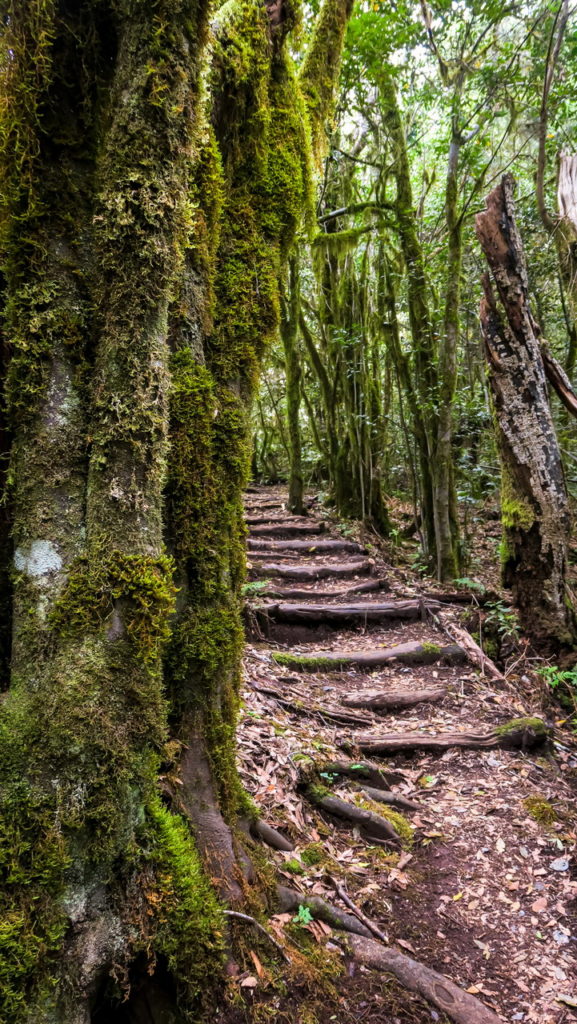 La Gomera Garajonay