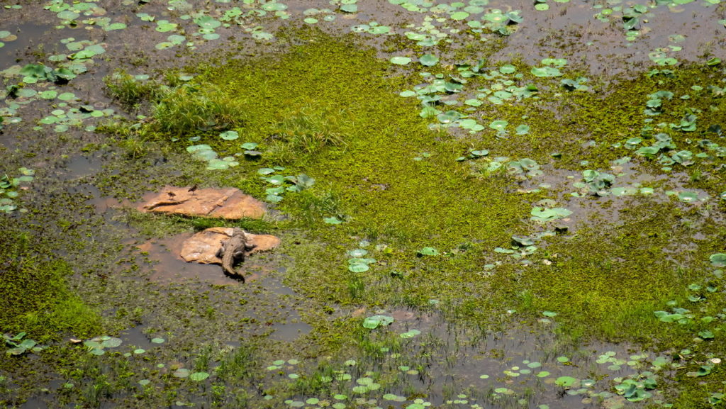 Sigiriya Sri Lanka