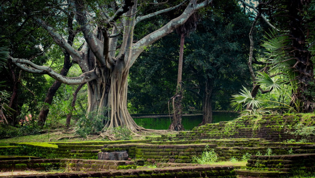 Polonnaruwa