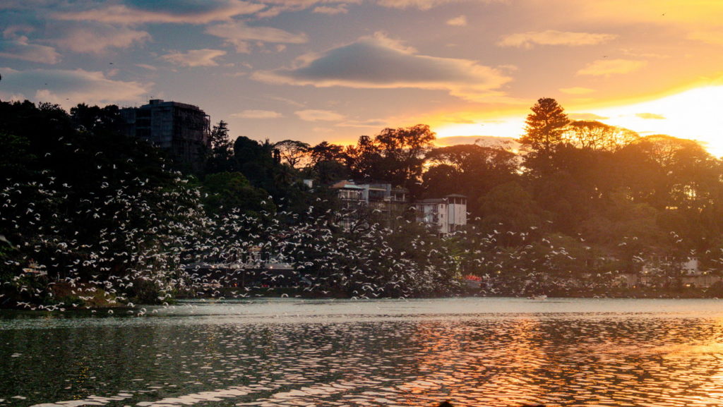 Kandy, Sri Lanka