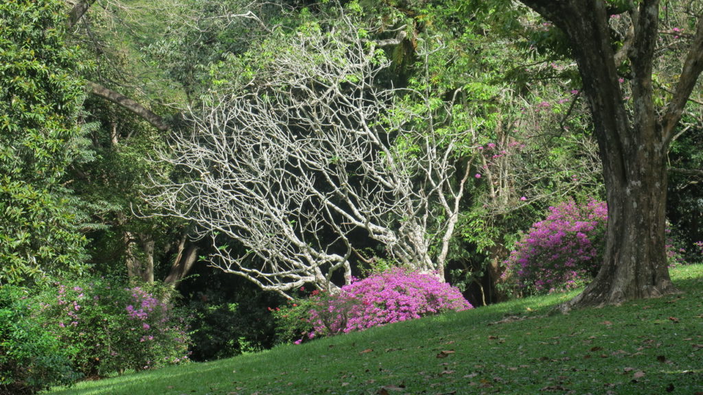 Kandy, Sri Lanka