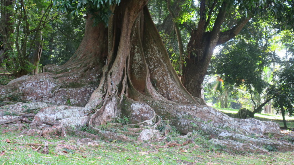 Kandy, Sri Lanka
