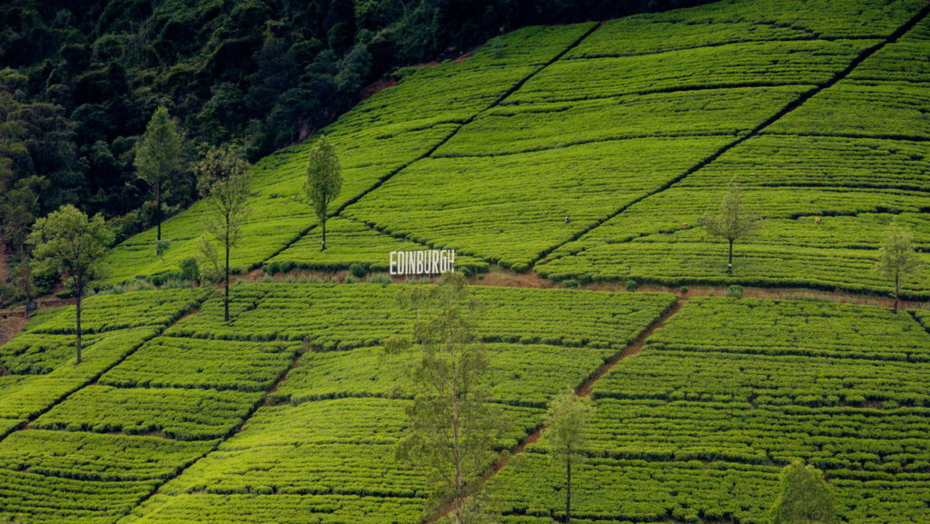 Tea Sri Lanka
