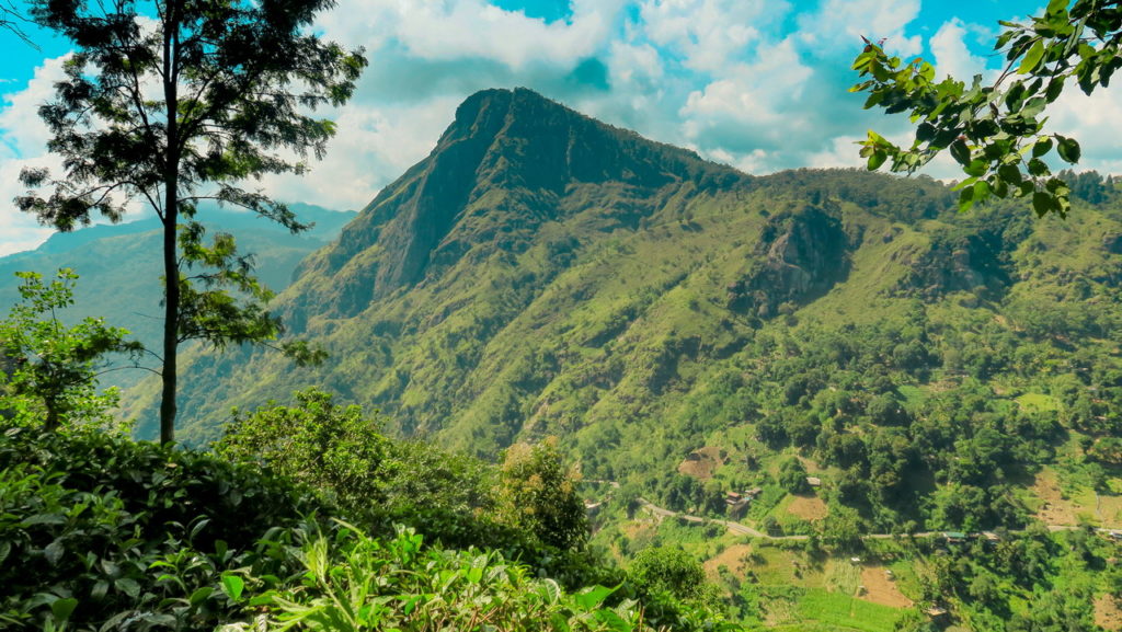 Little Adam's Peak, Ella