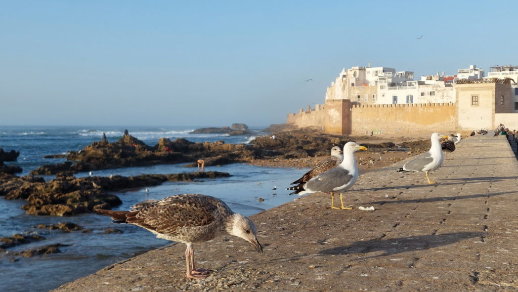 Essaouira Szavíra Marokkó