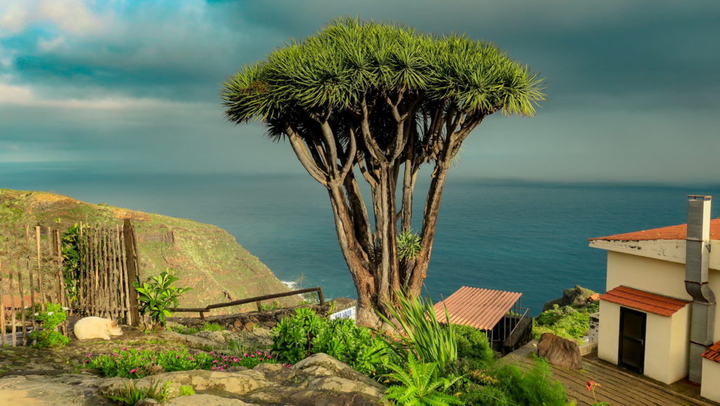La Palma látnivalók