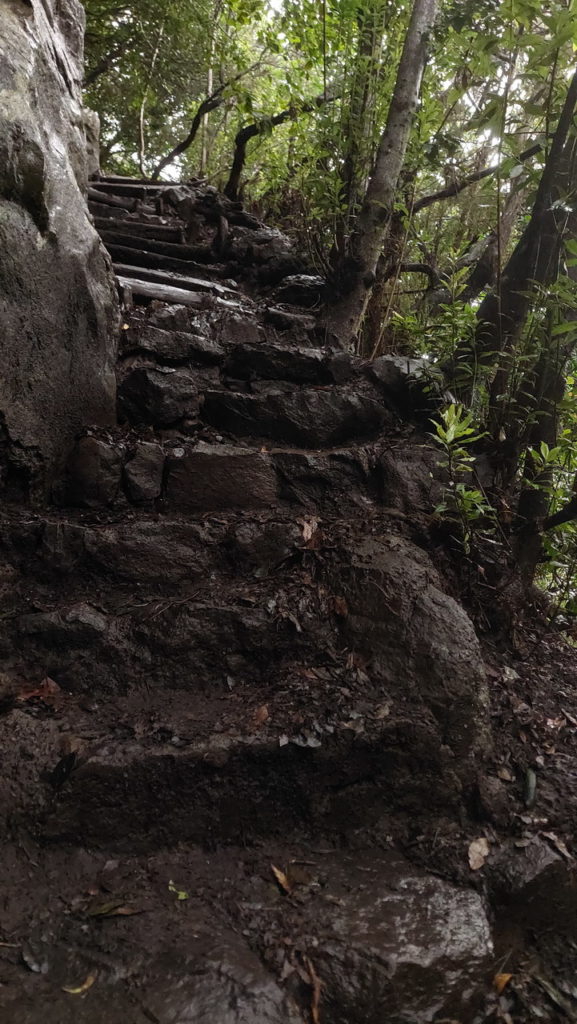 Mirador de las Barandas