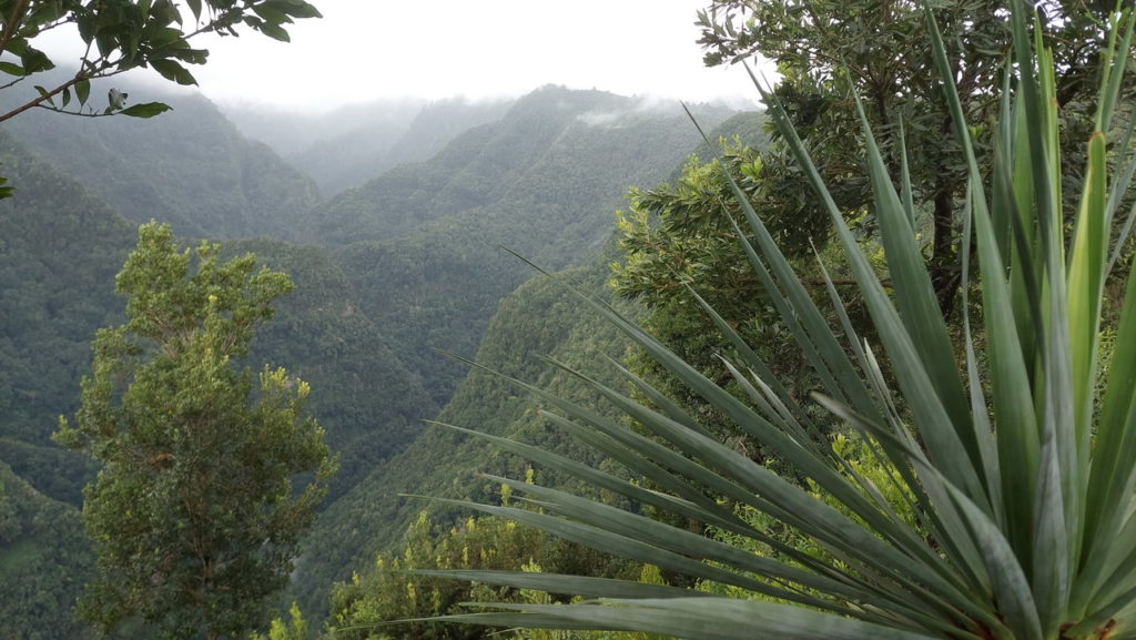 Mirador de las Barandas