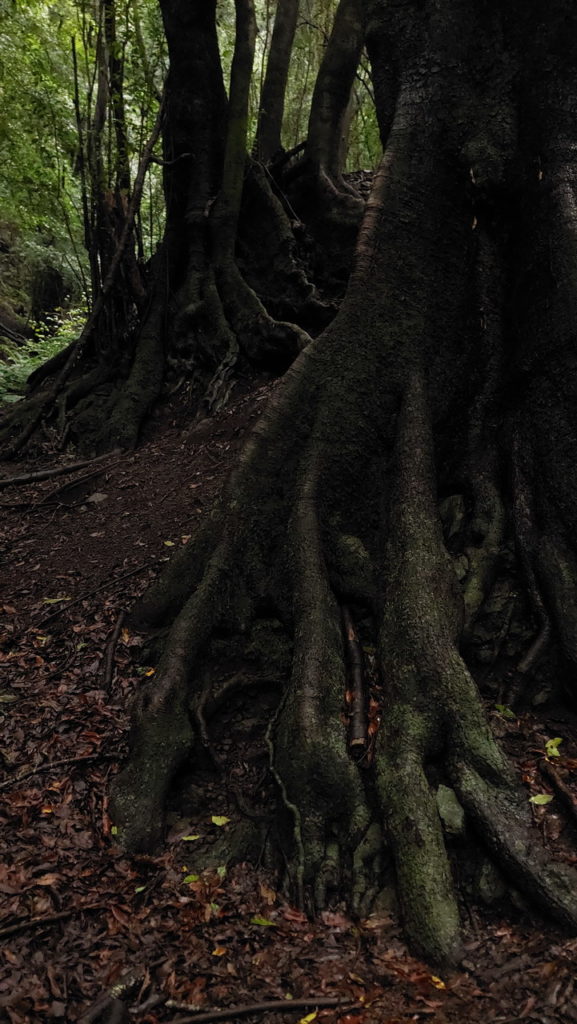 Mirador Espigón Atravesado