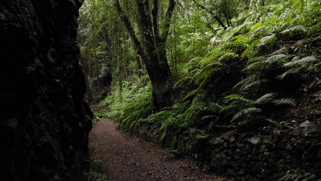 Mirador Espigón Atravesado