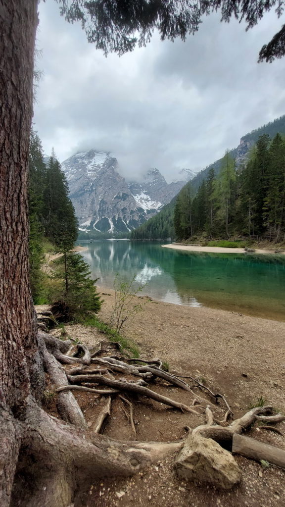 Braies