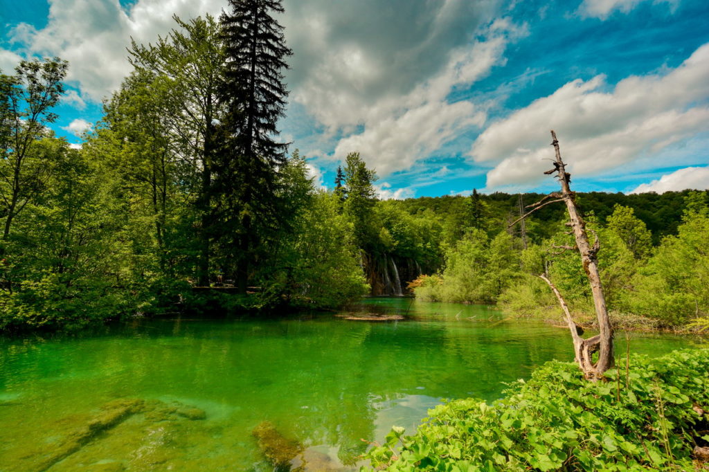 Plitvicei tavak