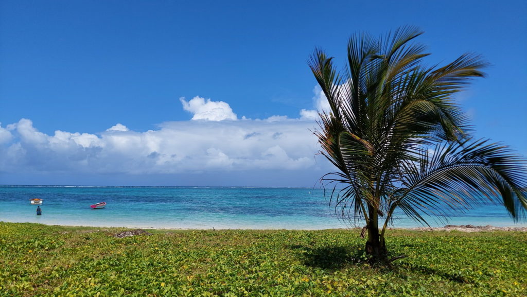 Mauritius Belle Mare